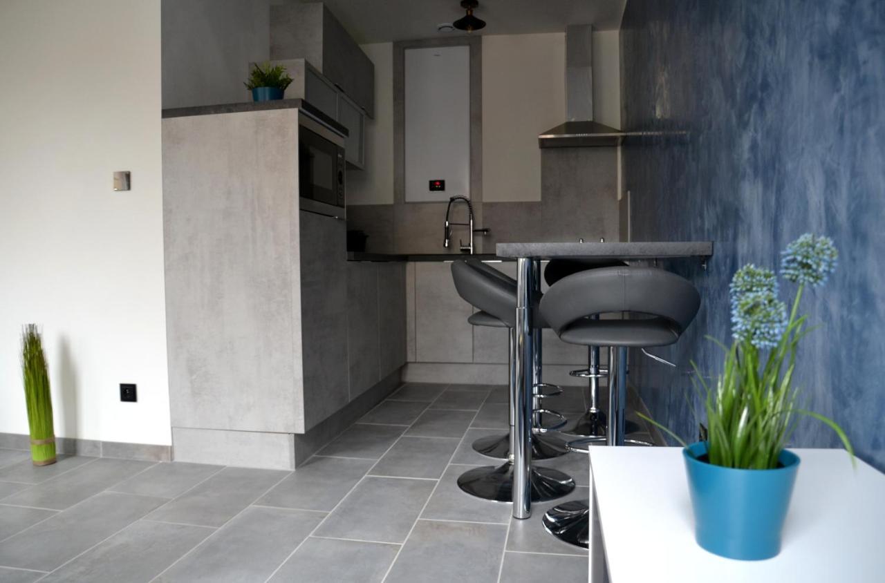 Le Cyclade, Appartement De Standing En Hyper-Centre. Sarreguemines Exteriér fotografie
